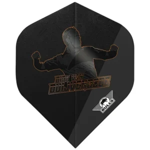 Darts toll Bull's Dirk van Duijvenbode 90 No2