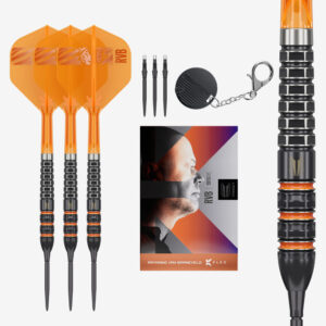 Darts nyíl készlet Target SP Raymond van Barneveld 95K 95% 23g